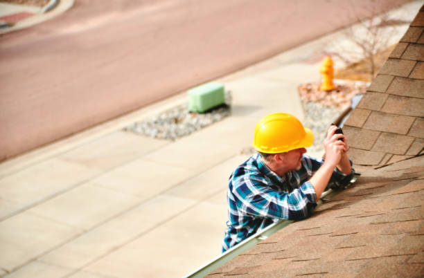 Best Roof Gutter Cleaning  in Warrior, AL
