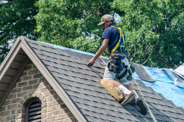 Best Commercial Roofing Services  in Warrior, AL